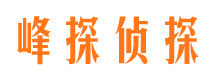 长江新区市私家侦探